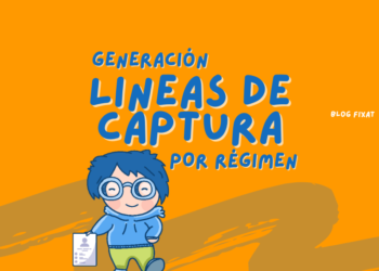 Generación de líneas de captura: Lo esencial para contribuyentes. 